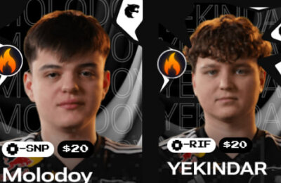 Fantasy, Данил «donk» Крышковец, Матье «ZywOo» Эрбо, Team Vitality