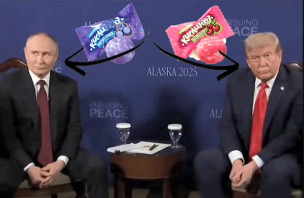 мемы, Свежие мемы, TikTok