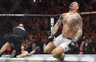 Павлович - Аспиналл, Сергей Павлович, UFC, UFC 295, Том Аспиналл, MMA