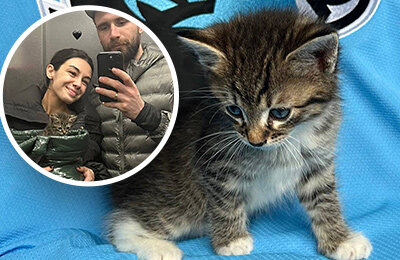 🐈 Милая история из Минска: игроки «Динамо» спасли и приютили котенка