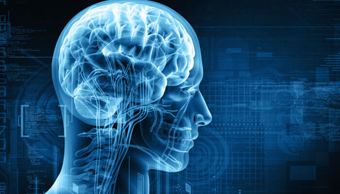 Тренировка памяти и внимания: 20 эффективных упражнений и способы улучшения работы мозга