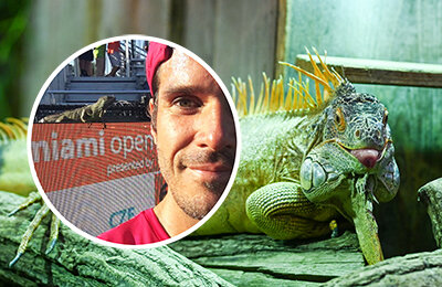 Томми Хаас, животные и спорт, ATP, Miami Open