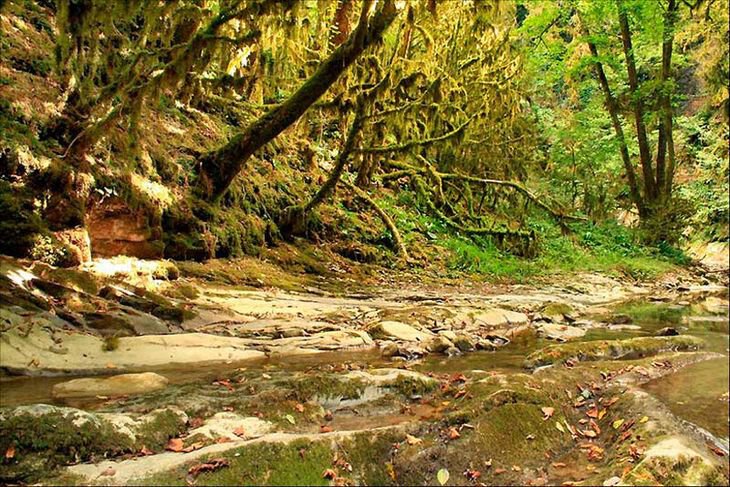 Путешествия и отдых