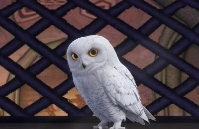 Гайды, Нейросети, Google, Nano Banana