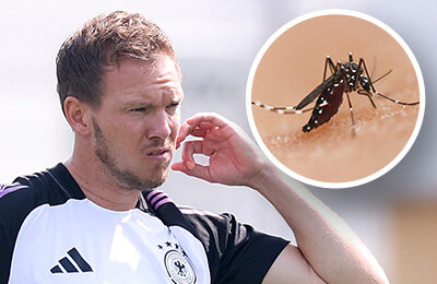 ???? Комары мешают сборной Германии. Кусают игроков на базе Евро