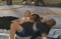 MMA, UFC, Гари Гудридж