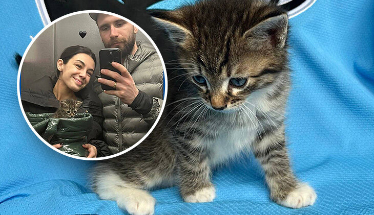 Фотография поста в ленте 🐈 Милая история из Минска: игроки «Динамо» спасли и приютили котенка