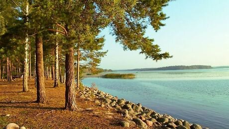 Лучшие базы отдыха Ленинградской области – топ-35 лучших турбаз Ленобласти для отдыха