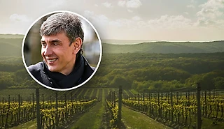 Сергей Галицкий – еще и винодел. Его вино уже стало чемпионом – получится ли у «Краснодара»?