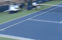 ATP, Адриан Маннарино, US Open