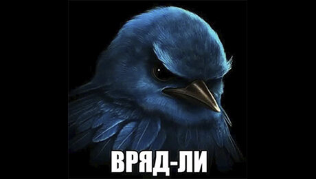 Неуверенные птицы в комментариях: что за новый мем и как появился