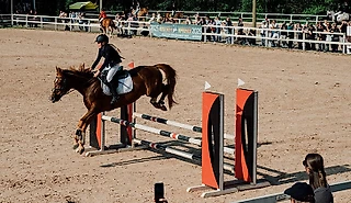 Я думала, конный спорт – для богатых. А потом попала на эту выставку