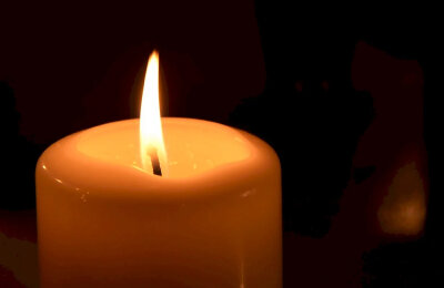 The International, Флэшмоб, Компендиум The International