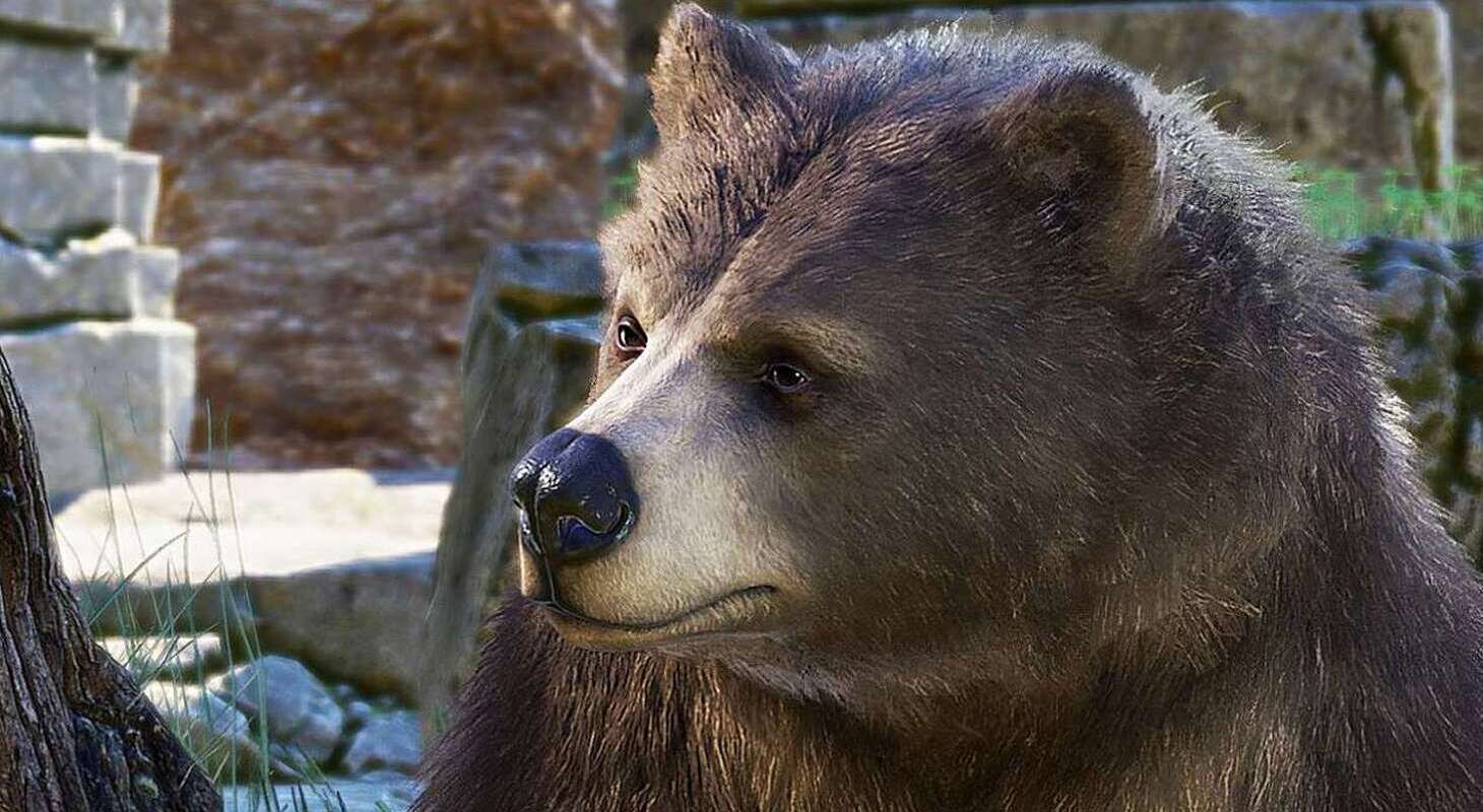 Baldur's Gate 3, Larian Studios, Гайды