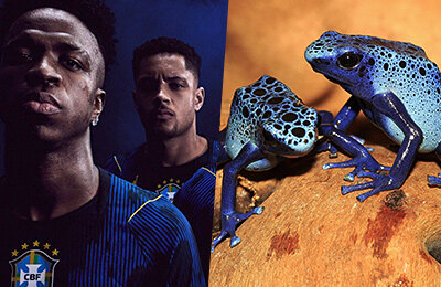 Форма Бразилии на ЧМ вдохновлена о-о-очень ядовитой лягушкой. Она может убить 20 человек разом 🤯