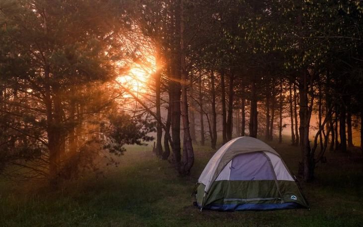 Путешествия и отдых