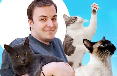 BetBoom Team, Тесты, Реклама, Спецпроекты