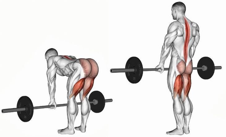 Упражнения