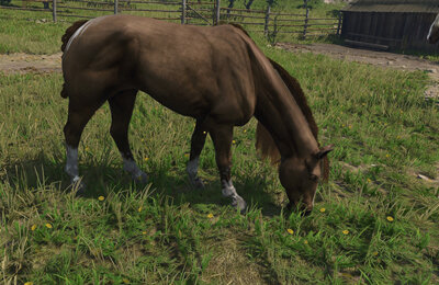 Kingdom Come Deliverance 2, Гайды