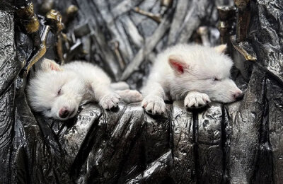 Игра Престолов, Джордж Мартин