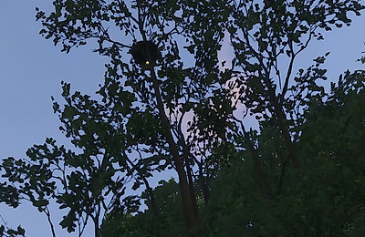 Прохождения, Kingdom Come Deliverance 2