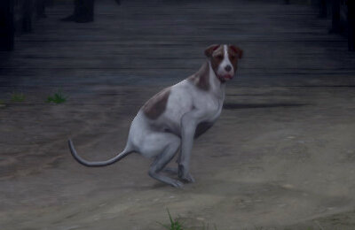 Kingdom Come Deliverance 2, Гайды