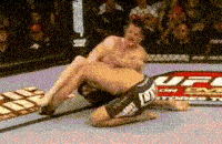 MMA, UFC