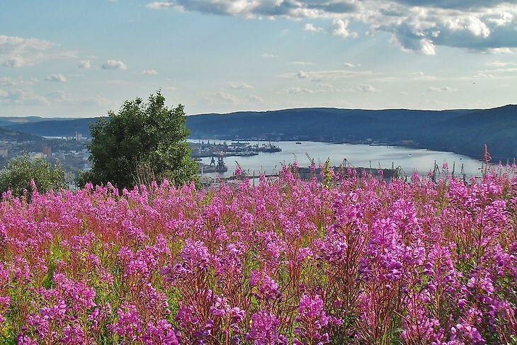 Путешествия и отдых, #безбилета