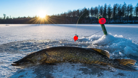 Зимняя рыбалка с ночевкой – как правильно собраться, что с собой взять, особенности
