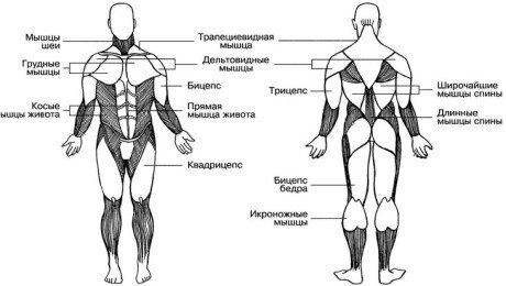Упражнения
