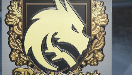 StarLadder Budapest Major 2025, Наклейки