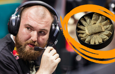 Патрик «f0rest» Линдберг, Team Spirit, Томас «oskar» Штястны, Нико «nicoodoz» Тамджид, Здоровье, Эмиль «Magisk» Рейф, Егор «flamie» Васильев, Кирилл «Boombl4» Михайлов, Леонид «Chopper» Вишняков, Хаваард «rain» Найгард, Кристиан «k0nfig» Винеке