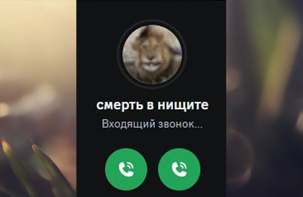 Свежие мемы, мемы, TikTok, Мемы про животных