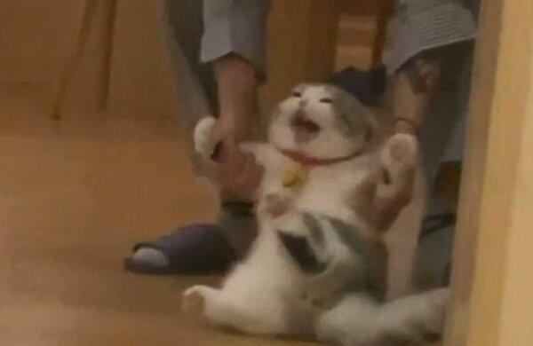 мемы, Мемы про работу, соцсети