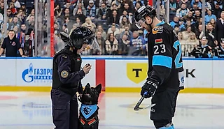 Собака укусила хоккеиста на вбрасывании – и он забил впервые в сезоне