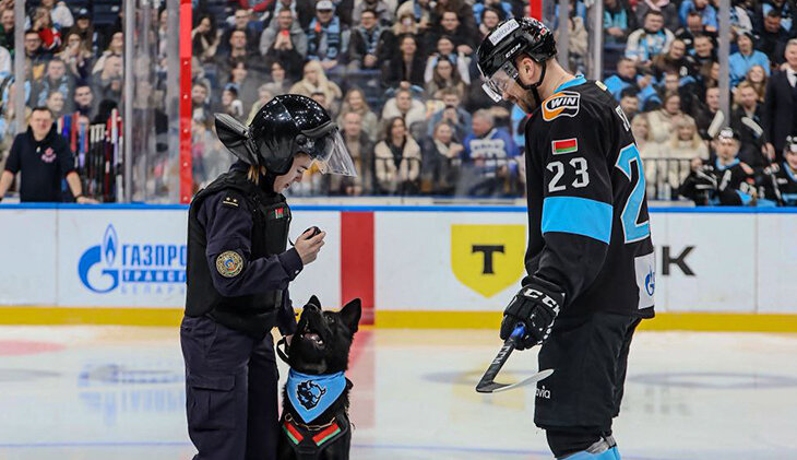 Собака укусила хоккеиста на вбрасывании – и он забил впервые в сезоне