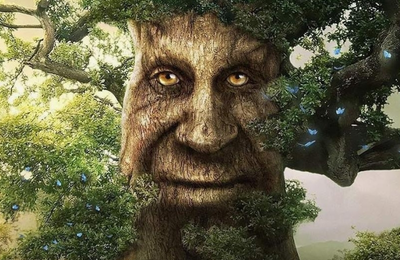 Новый патч в Доте писала нейросеть. Изменения ужасны