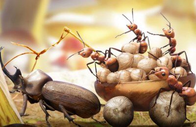 The Ants Underground Kingdom, Промокоды