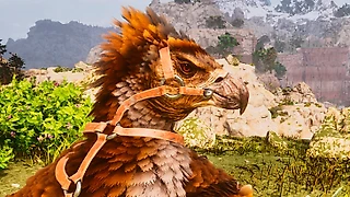 Консольные команды ARK Survival Ascended
