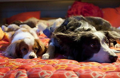 Фильмы, Елки, Обзоры кино