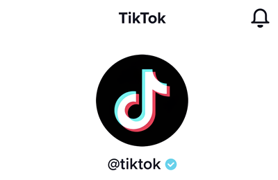 Гайды, TikTok