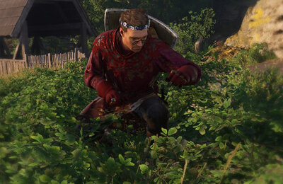 Kingdom Come Deliverance 2, Гайды