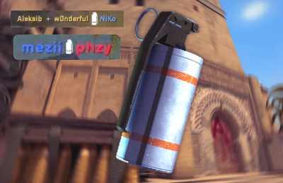 Уильям «Mezii⁠» Мерриман, Алекси «Aleksib» Виролайнен, Team Vitality, ахахаха