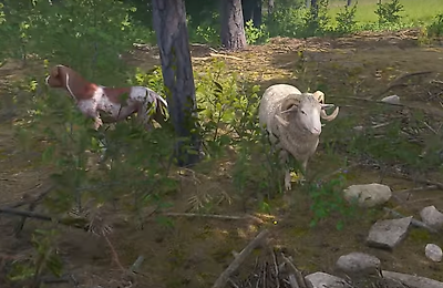 Прохождения, Kingdom Come Deliverance 2