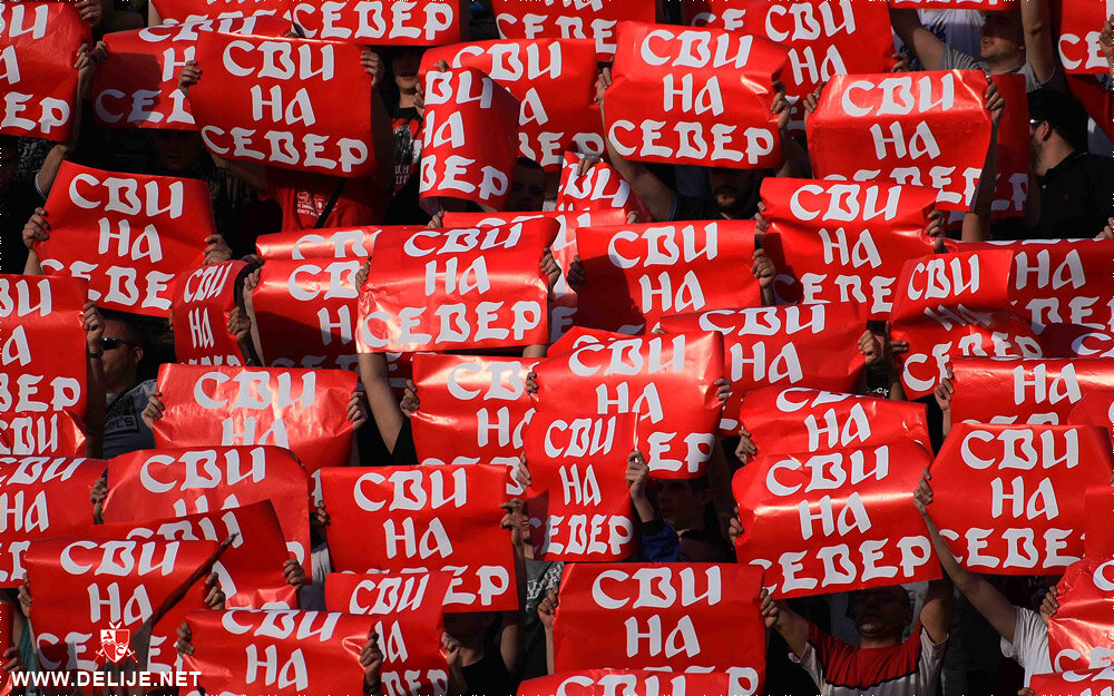 Все на Север! Агитационный перфоманс от «Делие»