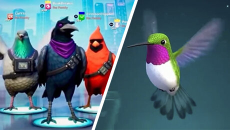 Bird Game 3 – самая хайповая игра прямо сейчас. Но ее не существует