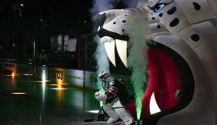 Фотография поста в ленте Почему «Ак Барс» так называется? Разве в Татарстане есть барсы?