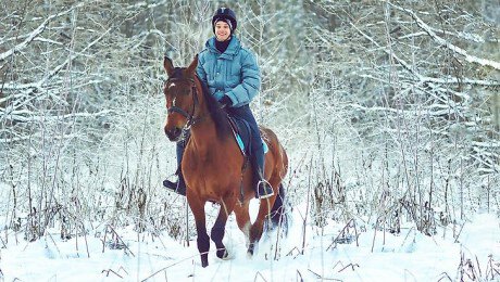 Где покататься на лошадях в Москве в 2024 – топ лучших мест для конных прогулок в Мск