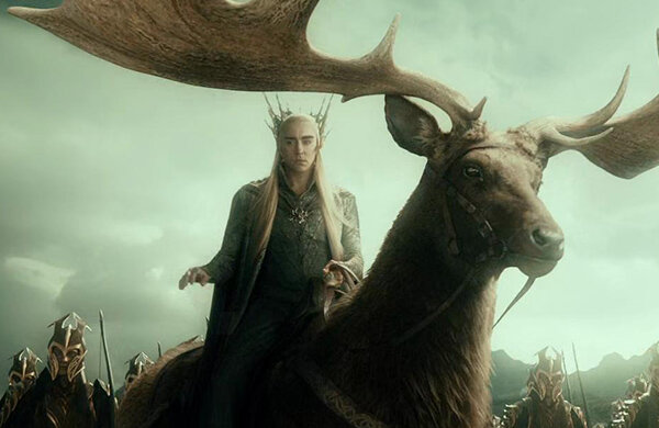 Мемы читателей