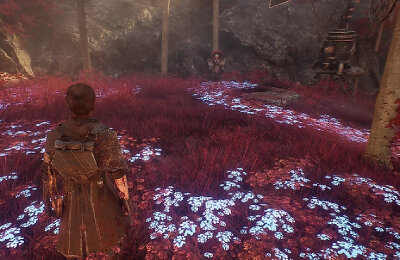 Гайды, Clair Obscur Expedition 33, Прохождения